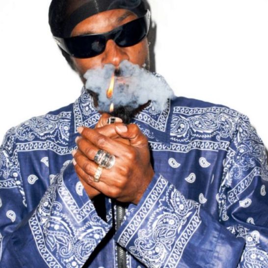 snoop dogg make america crip again