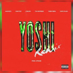 Yoshi Remix