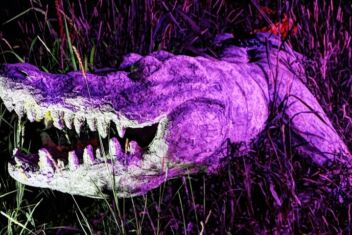 in caso di panico mud vam tom