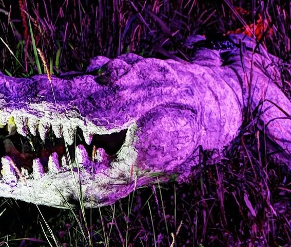 in caso di panico mud vam tom