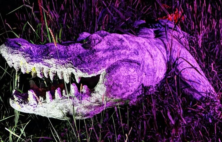 in caso di panico mud vam tom