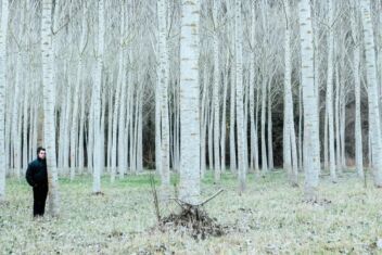 tibe caratteri cubitali